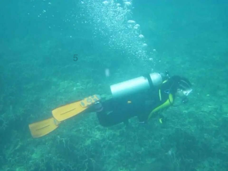 危险的社会
